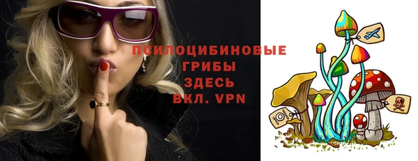 прущая мука Алзамай