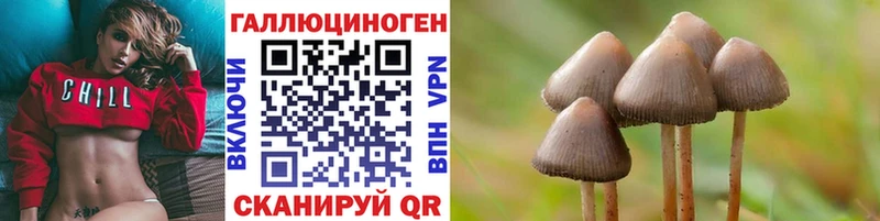 МЕГА зеркало  цены наркотик  Красноуфимск  даркнет наркотические препараты  Псилоцибиновые грибы Psilocybe 